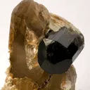 Tourmaline on Quartz - image 3