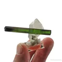 Tourmaline on Quartz - image 2