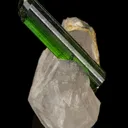 Tourmaline on Quartz - image 4