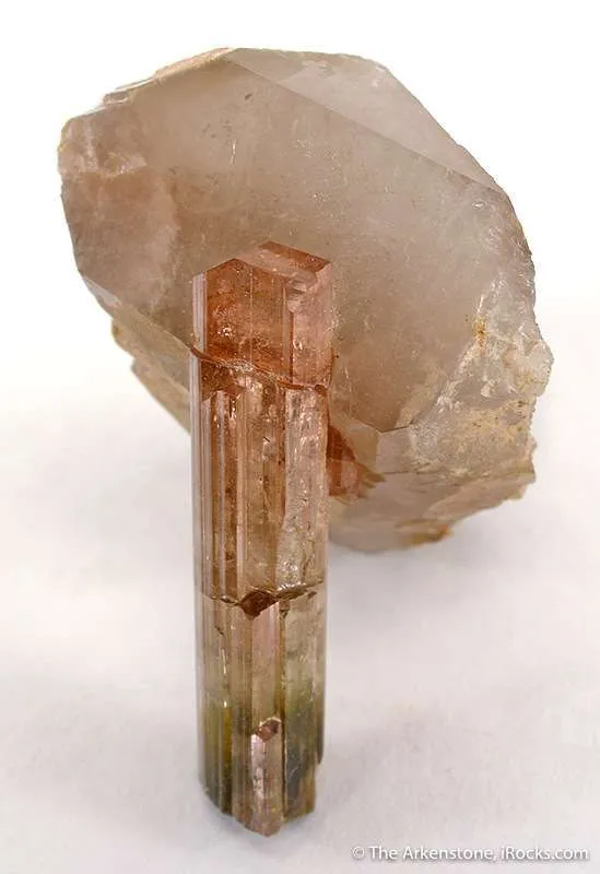 Tourmaline on Quartz image