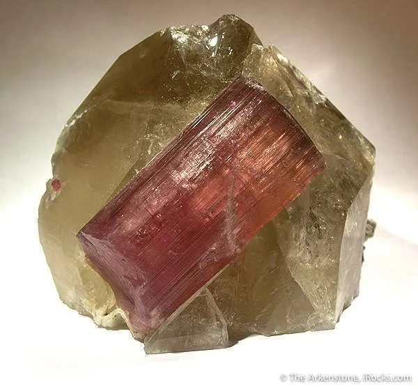 Tourmaline on Quartz image
