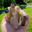 specimen video