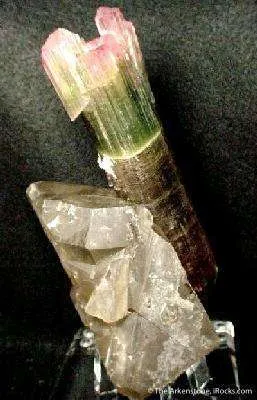 Tourmaline on Quartz image