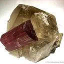 Tourmaline on Quartz - image 3
