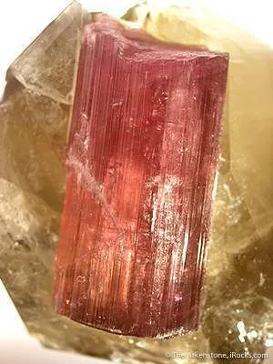 Tourmaline on Quartz - image 2