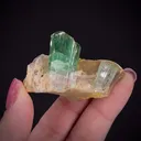 Tourmaline on Quartz - image 2