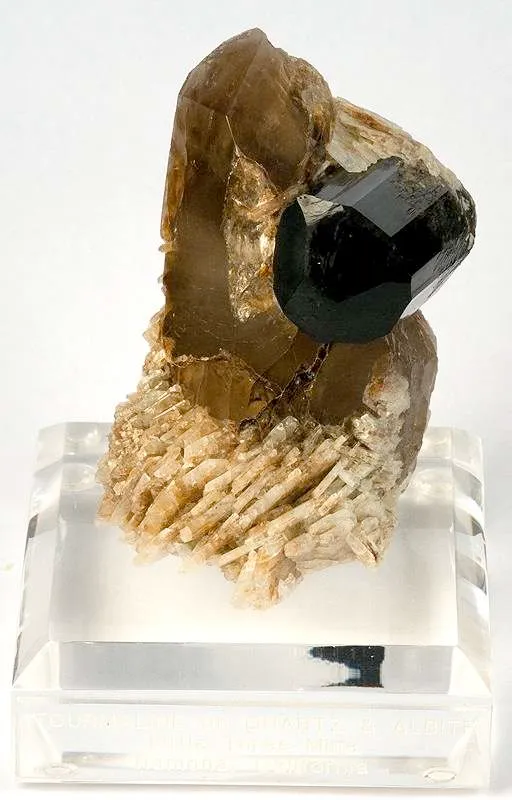 Tourmaline on Quartz image