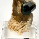 Tourmaline on Quartz - image 1