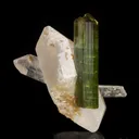 Tourmaline on Quartz (dated 1894) - image 4