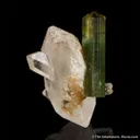 Tourmaline on Quartz (dated 1894) - image 3