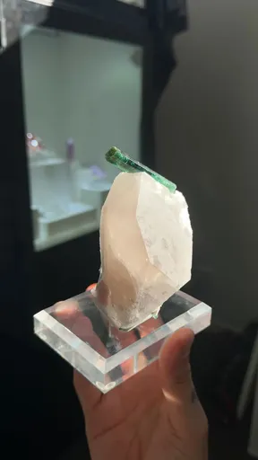 specimen video