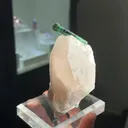 specimen video
