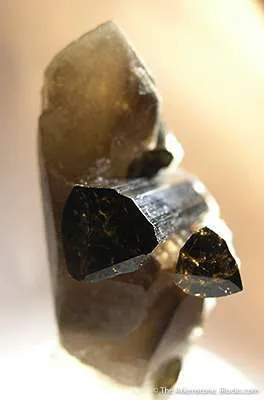 Tourmaline on Quartz - image 2