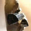 Tourmaline on Quartz - image 2