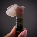 Tourmaline on Quartz (floater) - image 2