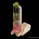 Tourmaline on Quartz (floater) - image 6