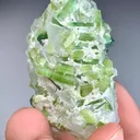 Tourmaline on Quartz from Afghanistan - image 6
