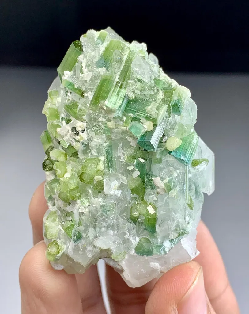 Tourmaline on Quartz from Afghanistan image