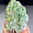 Tourmaline on Quartz from Afghanistan - image 1