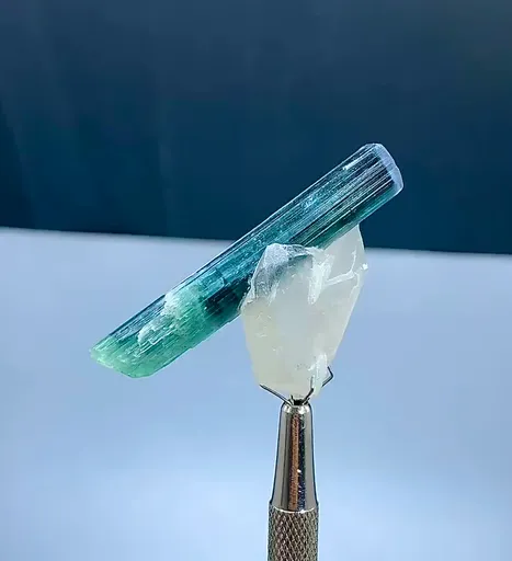 specimen video