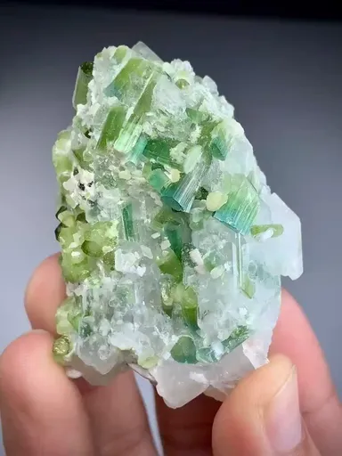 specimen video
