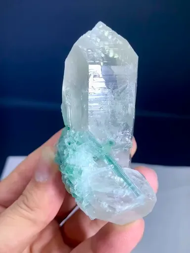 specimen video