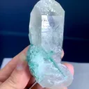 specimen video