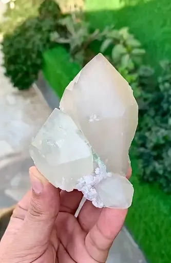 specimen video