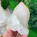 specimen video