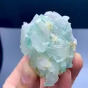 specimen video