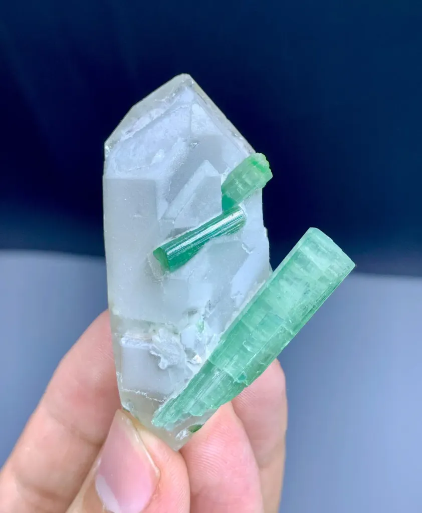 Tourmaline on Quartz from Afghanistan - image 4