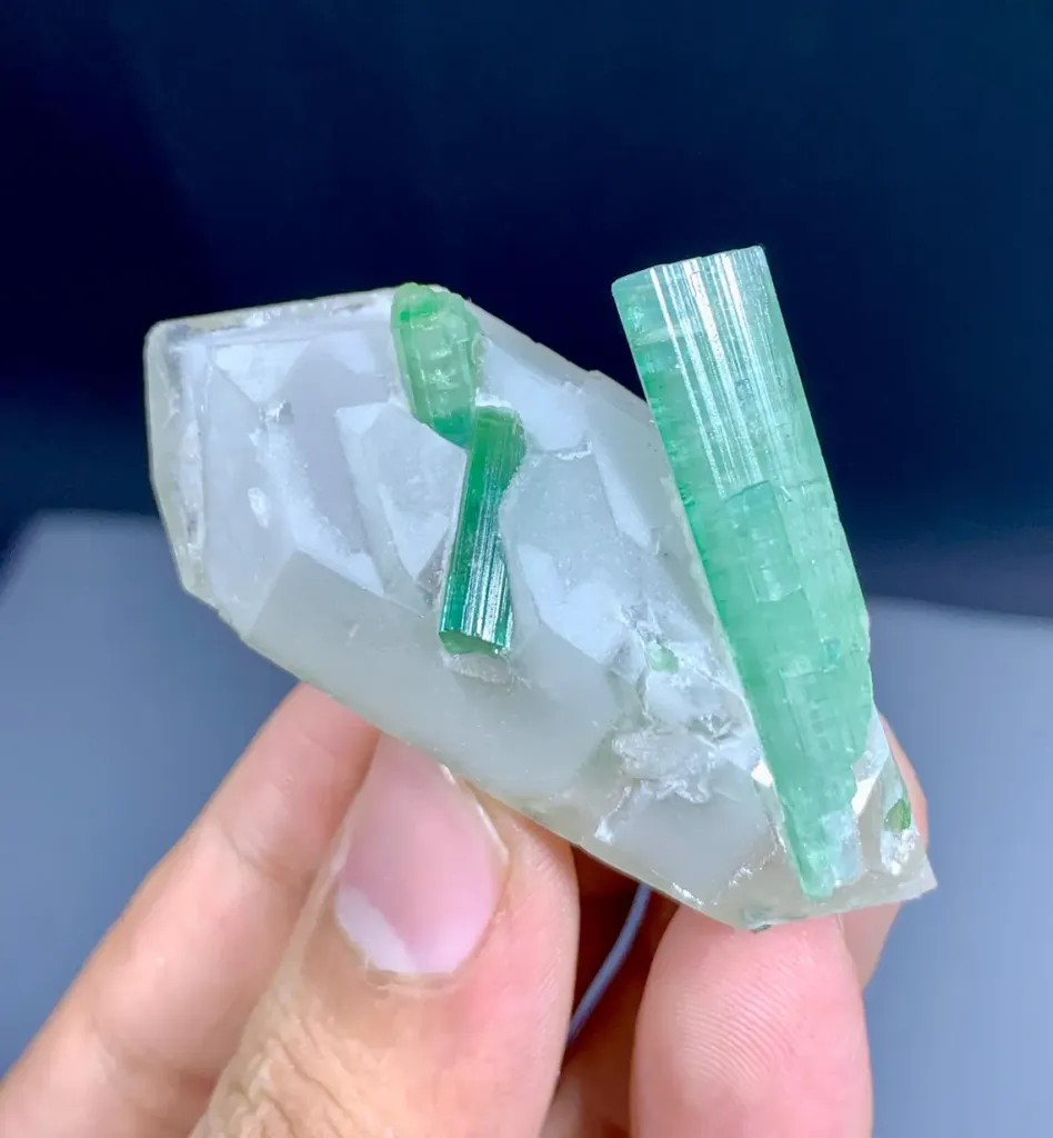 Tourmaline on Quartz from Afghanistan image