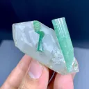 Tourmaline on Quartz from Afghanistan - image 1