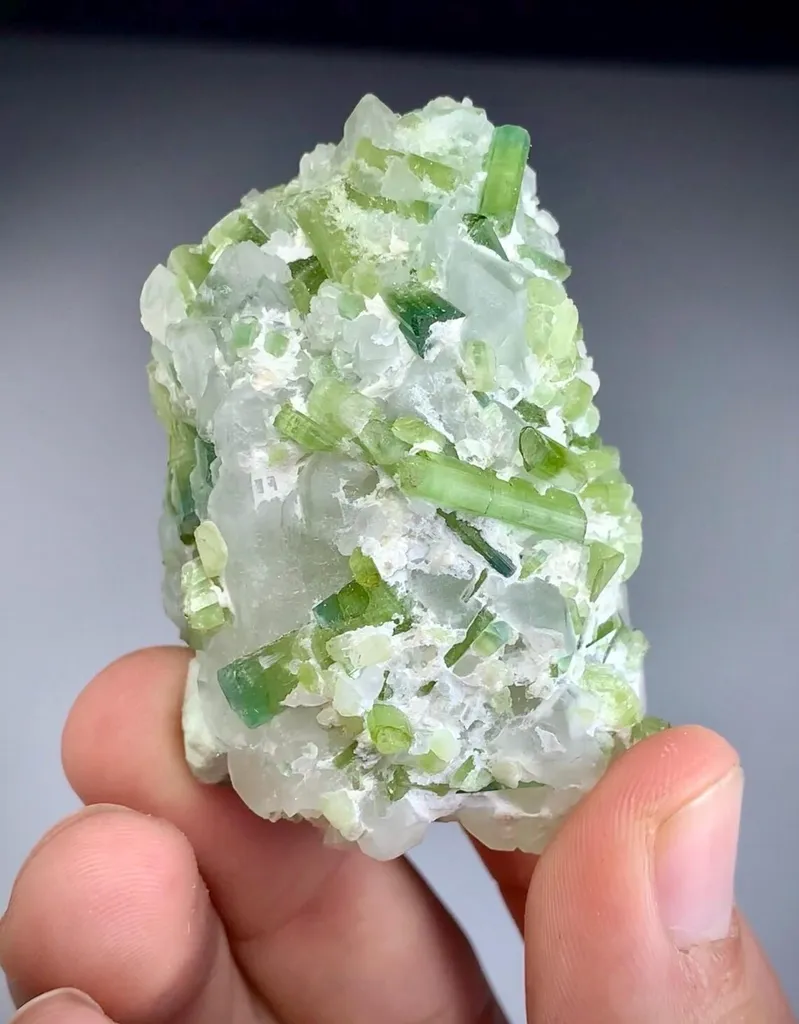 Tourmaline on Quartz from Afghanistan - image 4