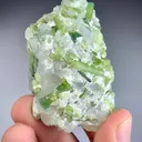 Tourmaline on Quartz from Afghanistan - image 4