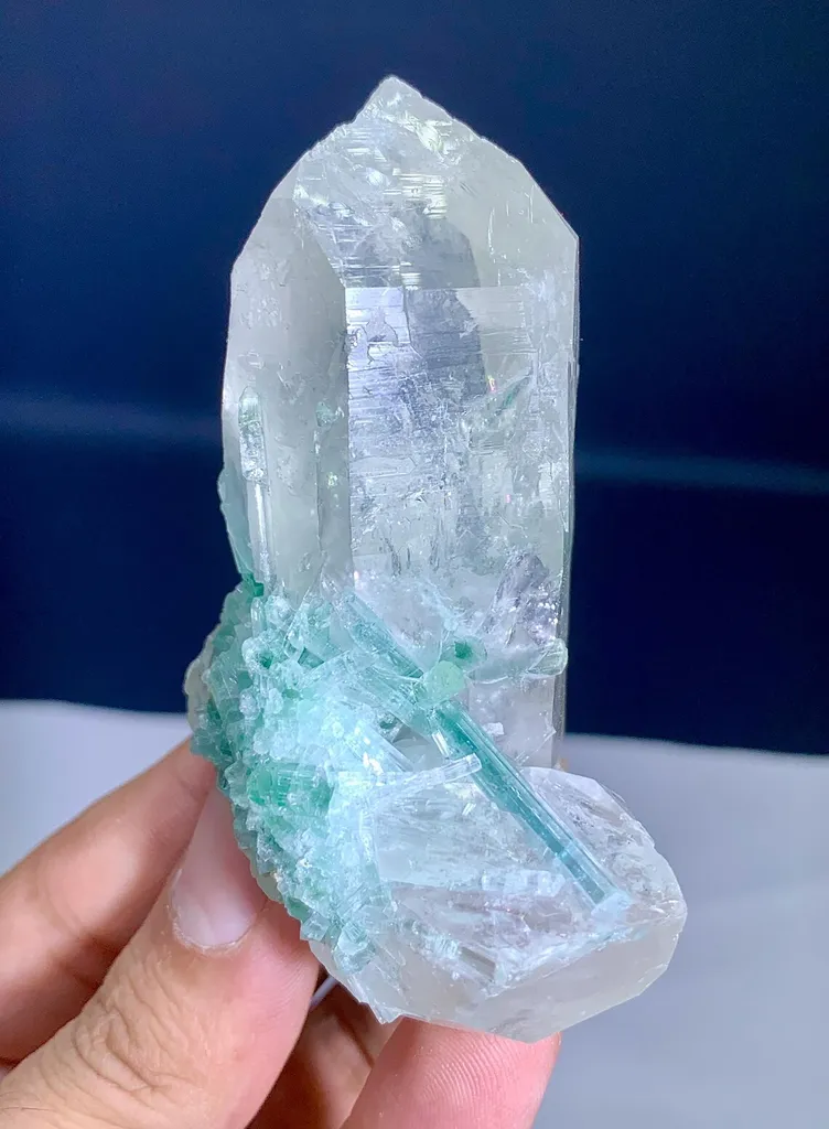 Tourmaline on Quartz from Afghanistan image