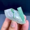 specimen video