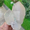 Tourmaline on Quartz from Afghanistan - image 4