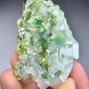 Tourmaline on Quartz from Afghanistan - image 3
