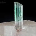 Tourmaline on Quartz from Paprok Afghanistan - image 1