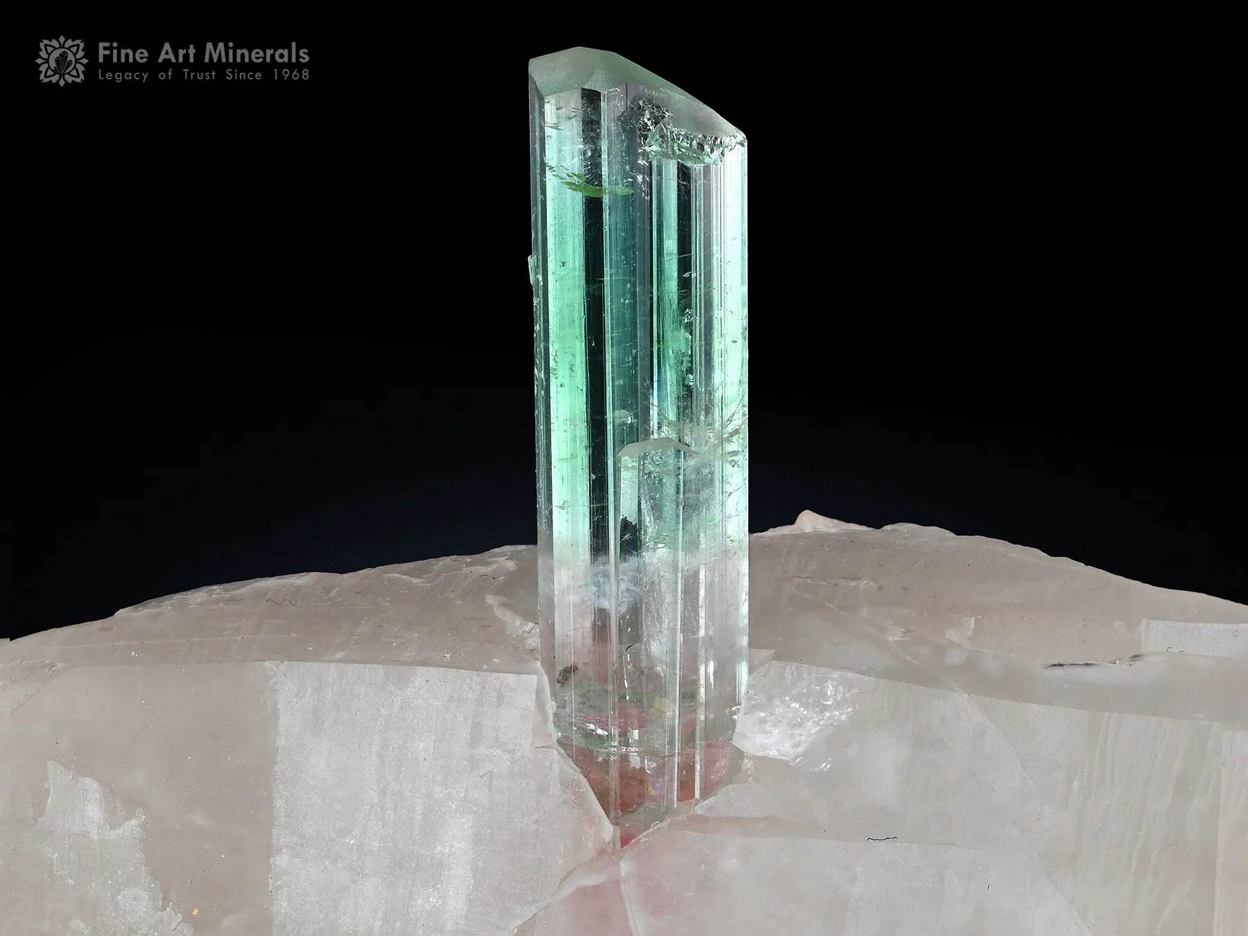 Tourmaline on Quartz from Paprok Afghanistan - image 1