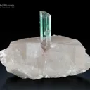 Tourmaline on Quartz from Paprok Afghanistan - image 2