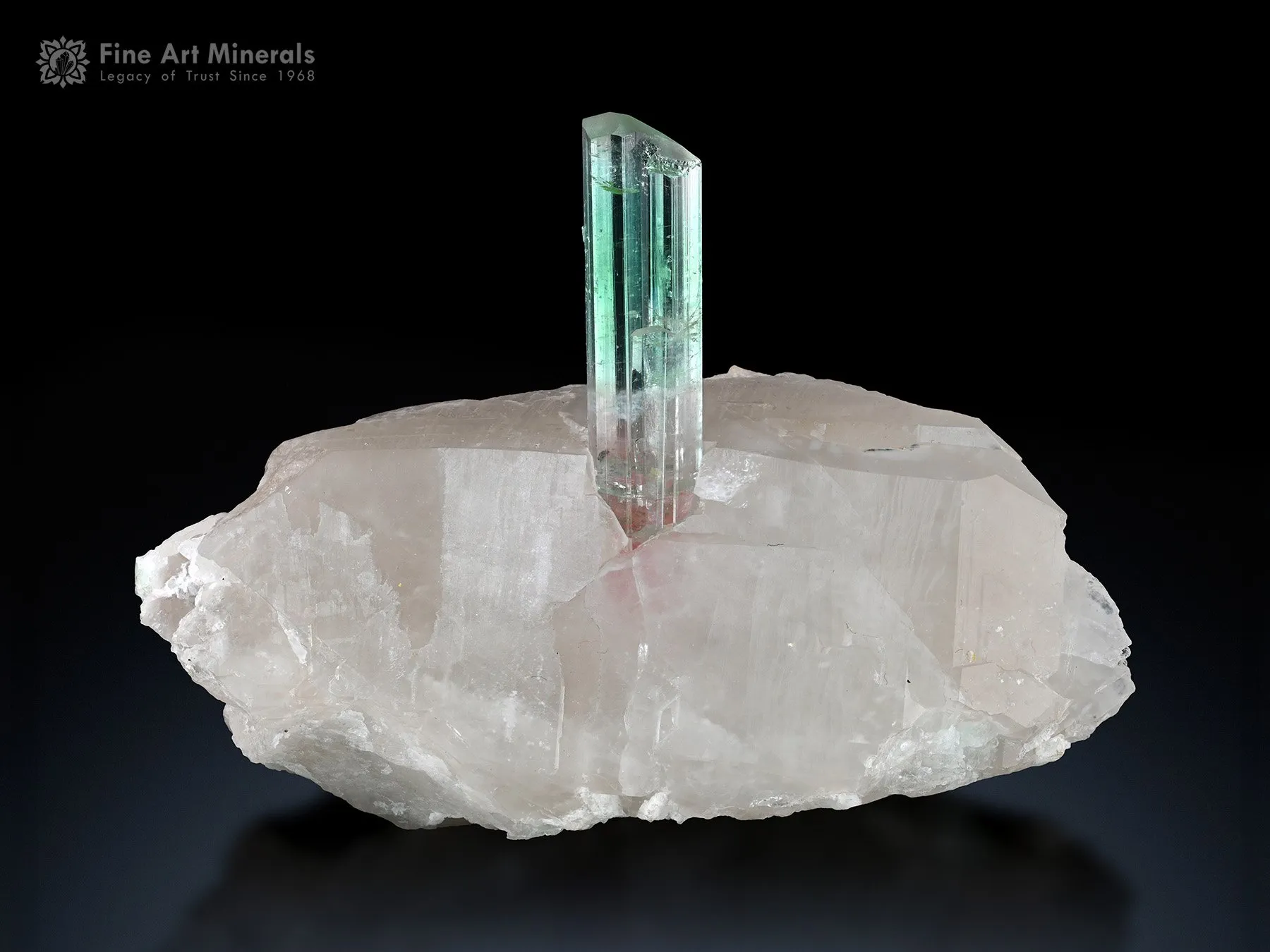 Tourmaline on Quartz from Paprok Afghanistan - image 2
