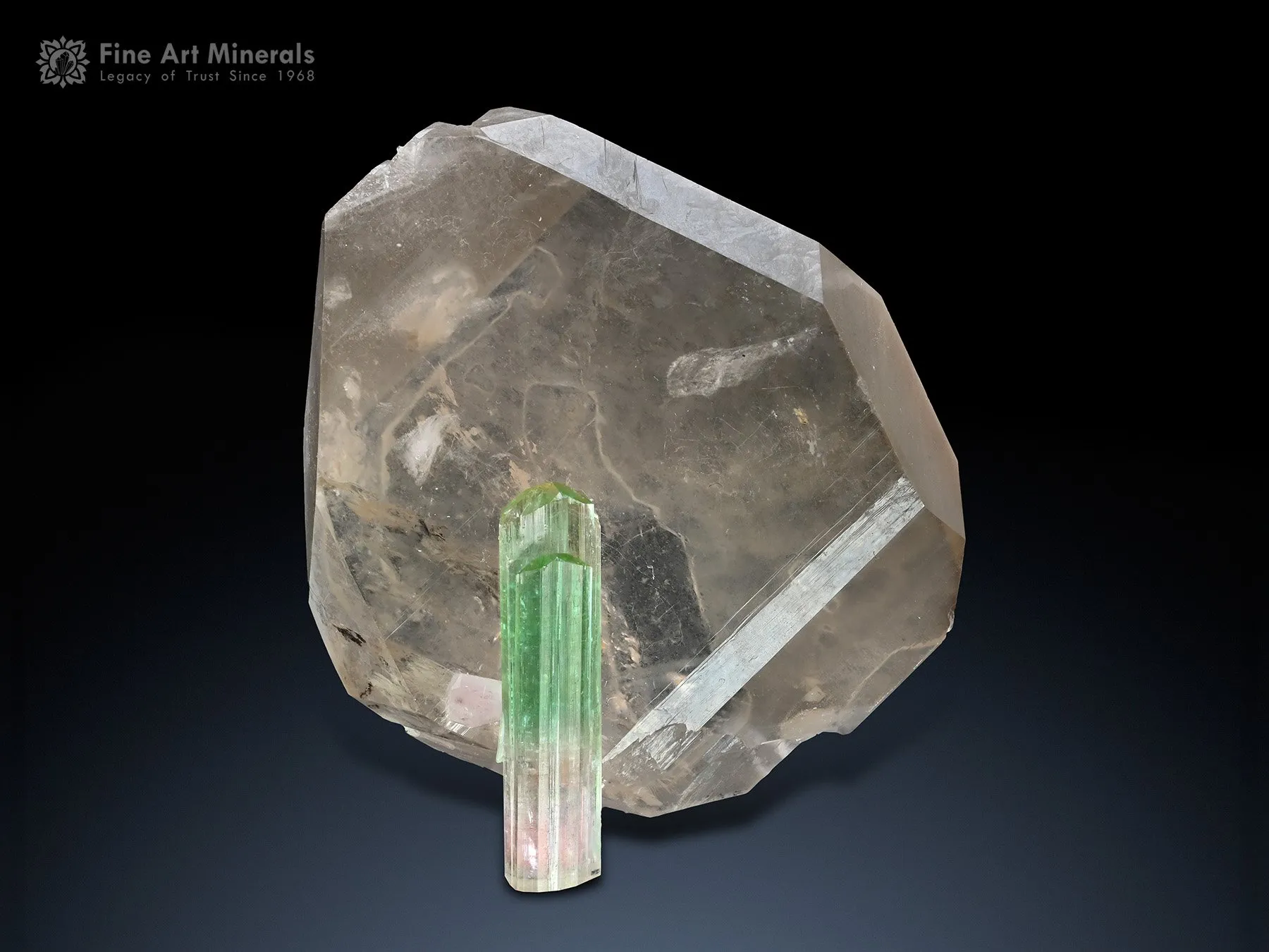 Tourmaline on Quartz from Paprok Afghanistan - image 2