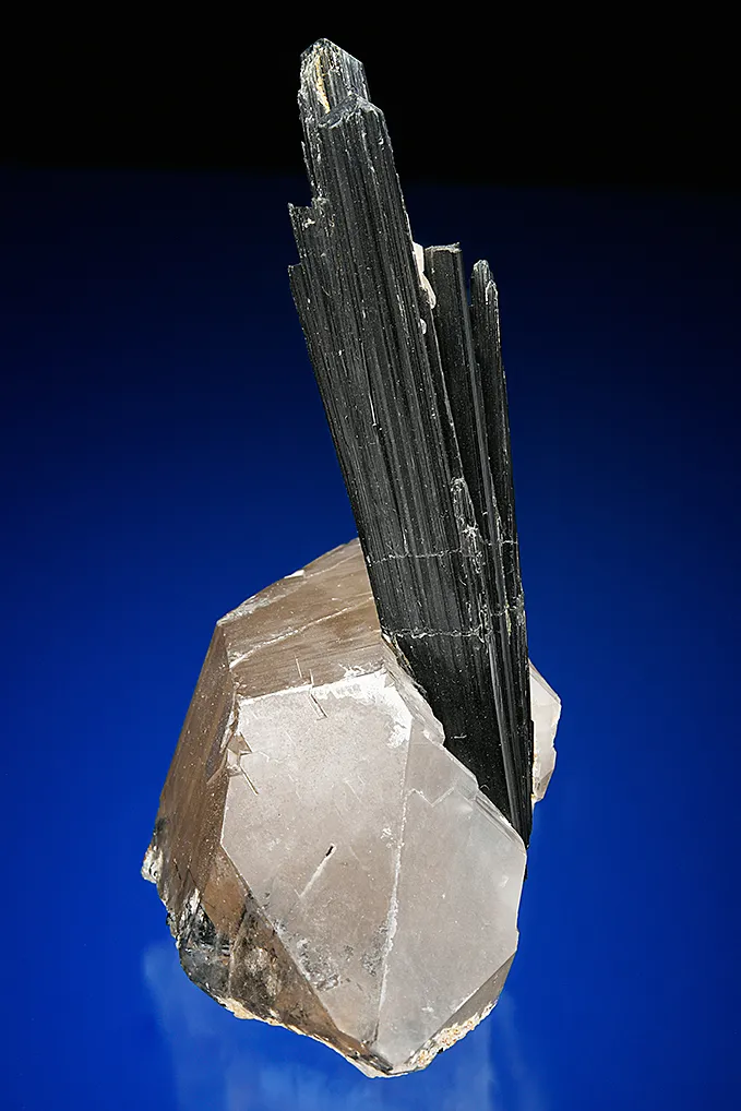 Tourmaline on Quartz var. Smoky (repaired) - image 2