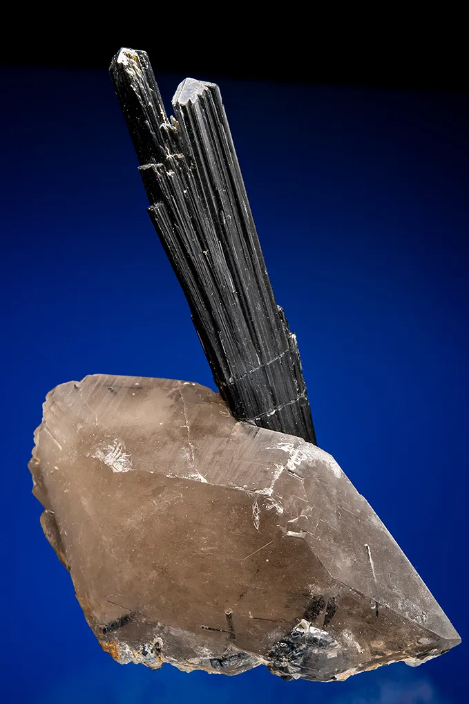 Tourmaline on Quartz var. Smoky (repaired) image