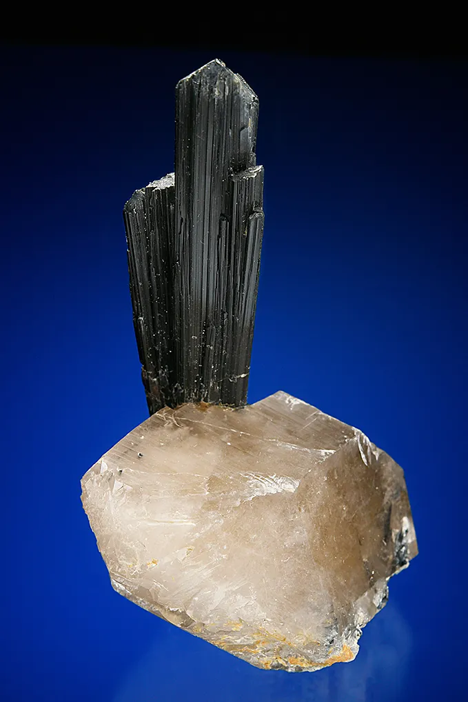 Tourmaline on Quartz var. Smoky (repaired) - image 4