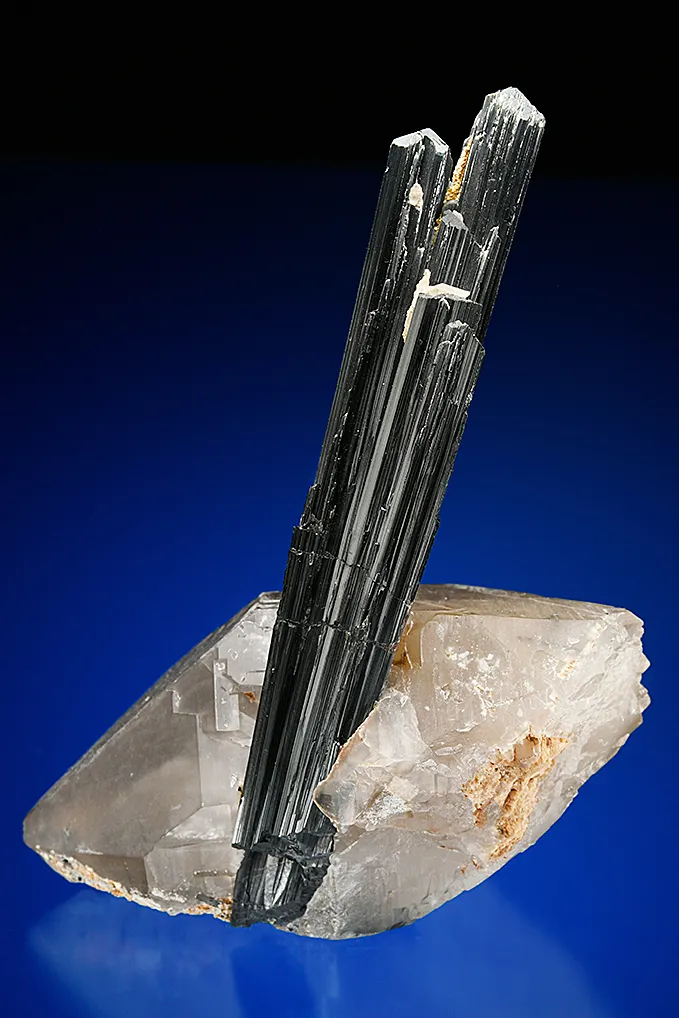 Tourmaline on Quartz var. Smoky (repaired) - image 3