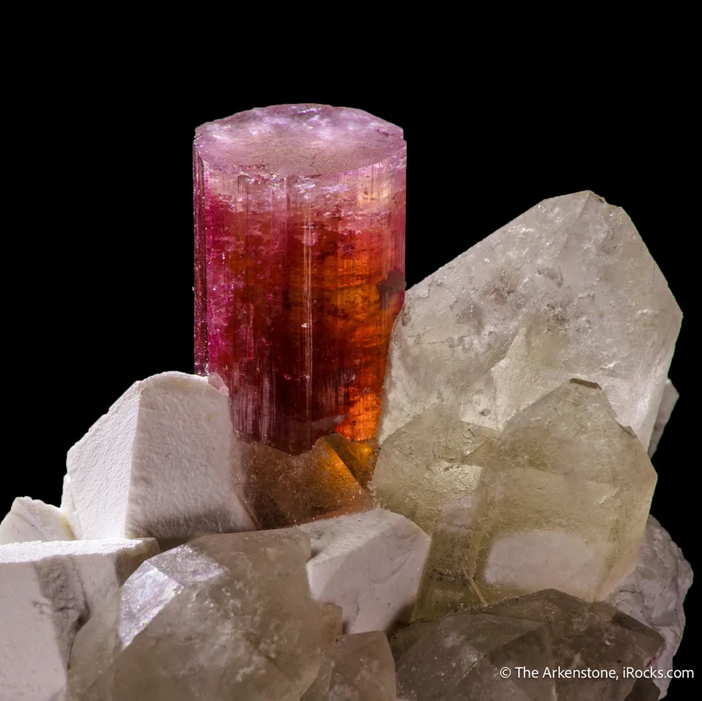 Tourmaline on Quartz with Albite image