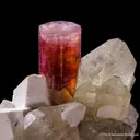 Tourmaline on Quartz with Albite - image 1